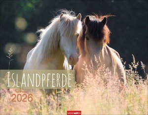 Islandpferde 2026