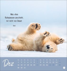 Never give up! Postkartenkalender 2025