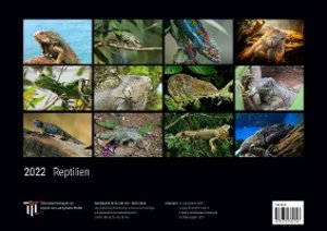Reptilien 2022 - Black Edition - Timokrates Kalender, Wandkalender, Bildkalender - DIN A3 (42 x 30 cm)