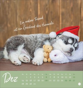 Ziemlich beste Freunde Postkartenkalender 2026
