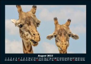 Tierkalender  2023 Fotokalender DIN A5
