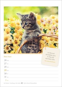 Katzenglück Wochenkalender 2025 - mit Zitaten