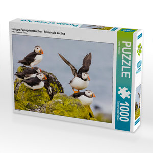 CALVENDO Puzzle Gruppe Papageientaucher - Fratercula arctica 1000 Teile Puzzle quer