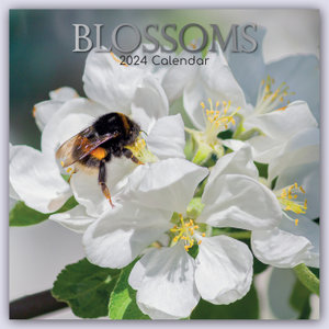 Blossoms - Blüten 2024 - 16-Monatskalender