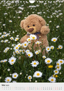 Travelling Teddy liebt es Bunt (Wandkalender 2023 DIN A4 hoch)