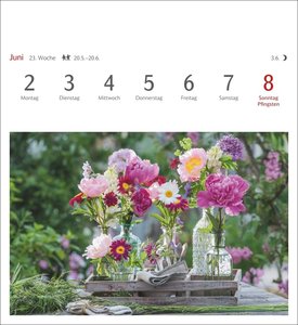 Blumenpracht Postkartenkalender 2025 - Wochenkalender mit 53 Postkarten