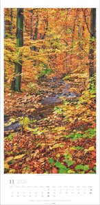 Im Wald Kalender 2026