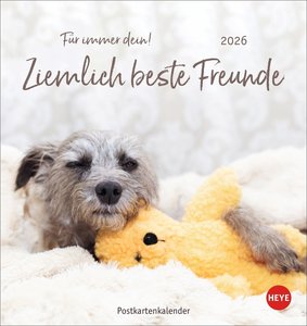 Ziemlich beste Freunde Postkartenkalender 2026