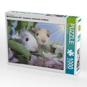 CALVENDO Puzzle Meerschweinchen - bezaubernd, entzückend, hinreißend 1000 Teile Puzzle quer