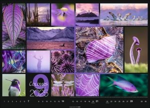 Colours of Nature Kalender 2025