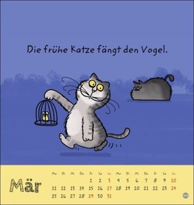 Catzz Postkartenkalender 2024. Humor-Kalender von Alexander Holzach. Kleiner Kalender mit witzigen Cartoon-Katzen. Kalender 2024 im Postkartenformat.