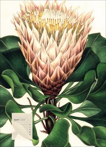 Botanicals Kalender 2025
