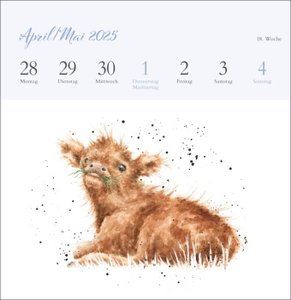 Hannah Dale: Happy Animals Premium-Postkartenkalender 2025