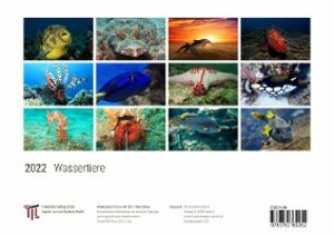 Wassertiere 2022 - White Edition - Timokrates Kalender, Wandkalender, Bildkalender - DIN A4 (ca. 30 x 21 cm)