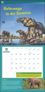 WAS IST WAS Entdecke die Tierwelt Broschurkalender 2024. Jeden Monat Neues lernen mit dem Tierkalender 2024! Wandkalender fürs Kinderzimmer: Kinderwissen über Tiere spannend präsentiert, 29,5 x 60 cm