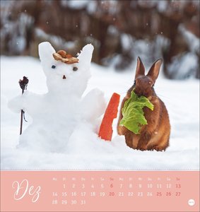 Süße Kaninchen Postkartenkalender 2026