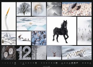 Colours of Nature Kalender 2026