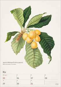 Bunte Pflanzenwelt Wochenplaner 2026