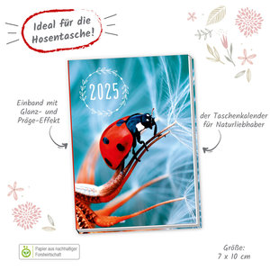 Trötsch Taschenkalender A7 Marienkäfer 2025