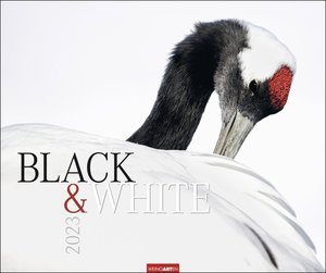 Black & White Kalender 2023