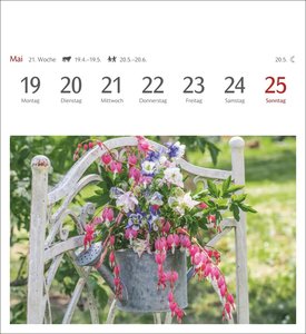 Blumenpracht Postkartenkalender 2025 - Wochenkalender mit 53 Postkarten