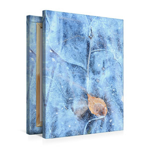 Premium Textil-Leinwand 50 cm x 75 cm hoch Ein Motiv aus dem Kalender Strukturen - Steine, Eis, Pflanzen