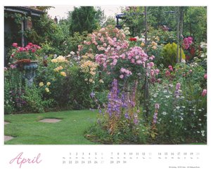 Im Rosengarten 2025 - DUMONT Garten-Kalender - Querformat 52 x 42,5 cm - Spiralbindung