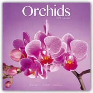 Orchids - Orchideen 2022
