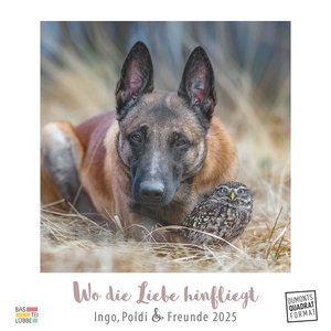 Wo die Liebe hinfliegt 2025 – Ingo, Poldi und Freunde – Wandkalender mit Spiralbindung – DUMONT Quadratformat 23 x 23 cm