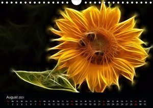 Floral Abstrakt 2021 (Wandkalender 2021 DIN A4 quer)