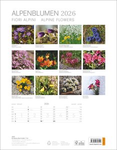 Alpenblumen Kalender 2026