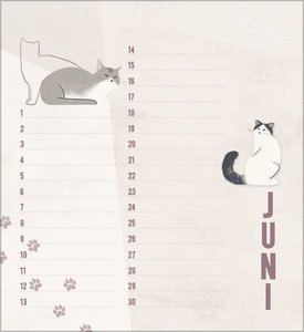 Geburtstagskalender Cats