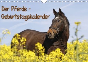 Pferde / Geburtstagskalender /  (AT-Version) (Wandkalender immerwährend DIN A4 quer)