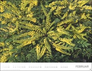 Blütenmeer Posterkalender 2024. Wandkalender mit 12 beeindruckenden Landschaftsfotos. Dekorativer Jahres-Kalender mit üppigen Blumenwiesen. 44x34 cm. Querformat.