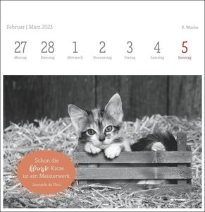 Wegler Katzen Weisheiten Premium-Postkartenkalender 2023