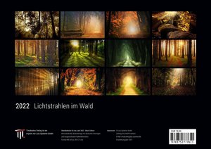 Lichtstrahlen im Wald 2022 - Black Edition - Timokrates Kalender, Wandkalender, Bildkalender - DIN A4 (ca. 30 x 21 cm)
