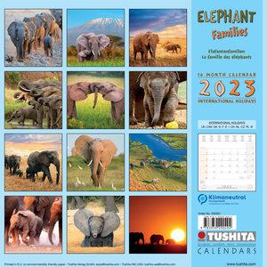 Elephant Families 2023