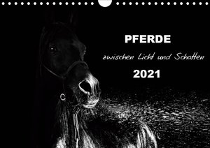 Pferde zwischen Licht und Schatten (Wandkalender 2021 DIN A4 quer)