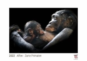 Affen - Zarte Primaten 2022 - White Edition - Timokrates Kalender, Wandkalender, Bildkalender - DIN A4 (ca. 30 x 21 cm)
