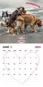 Poppende Hunde Kalender 2024