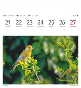 Heimische Vögel Postkartenkalender 2025 - Wochenkalender mit 53 Postkarten