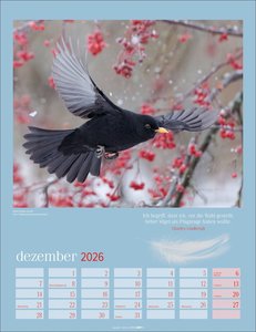 Heimische Vögel Kalender 2026