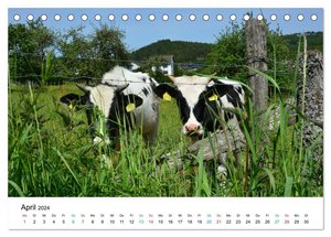 Lebenswertes Dedenborn (Tischkalender 2024 DIN A5 quer), CALVENDO Monatskalender