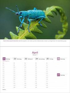 Farben der Erde - KUNTH Tischkalender 2025