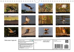 Botswanas Vogelwelt (Wandkalender 2021 DIN A4 quer)
