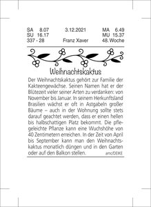 Tagesabreißkalender groß 2026