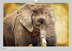 Elefanten - Portraits der besonderen Art (Wandkalender 2023 DIN A3 quer)