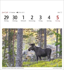 Schweden Sehnsuchtskalender 2026