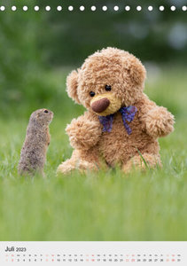 Travelling Teddy liebt es Bunt (Tischkalender 2023 DIN A5 hoch)