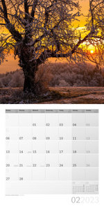 Bäume Kalender 2023 - 30x30